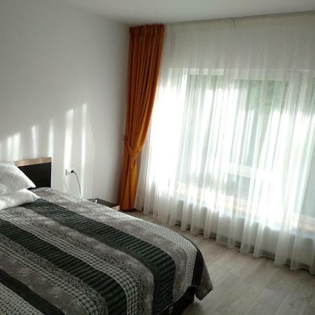 布拉索夫Apartament Ramona公寓 外观 照片