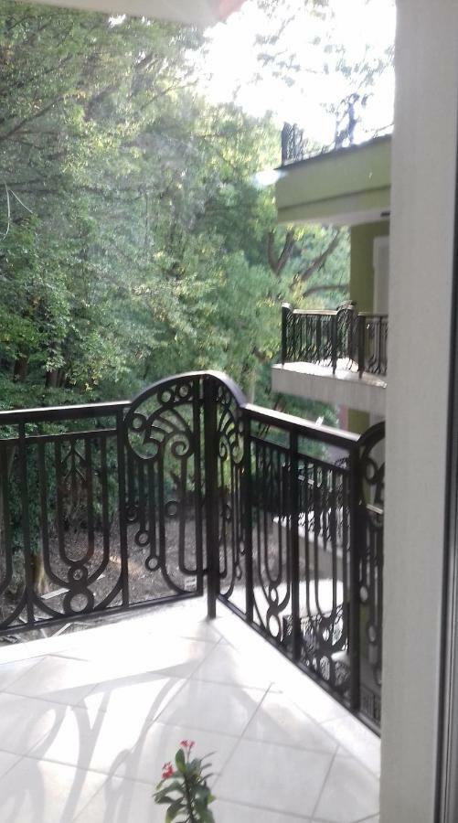 布拉索夫Apartament Ramona公寓 外观 照片